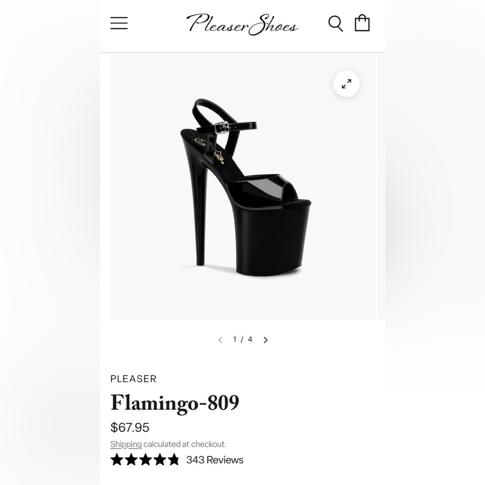 Pleaser Black Platform with Stiletto Heel - NWOT